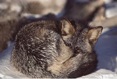 KK官方对战平台S1赛季圣光揭幕战，木盖宿命对决再次上演！